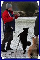 Auch bei Wind und Wetter oder Schnee wird trainiert.