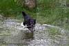 IMG2011-08-30_025.JPG