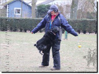 Bild "http://happymudi.de/allerlei/galerien/Vorschau-FOTOS-Moppel-Obedience-Training-2012/IMG2012-02-12_216_Moppel-Anette.JPG"