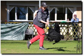 Bild "MOPPEL der Mudi:2012-03-25_183_Moppel_Pre320x.JPG"