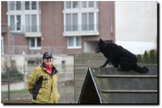 Bild "MOPPEL der Mudi:IMG2012-03-06_133.JPG"
