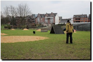 Bild "MOPPEL der Mudi:IMG2012-03-06_155.JPG"