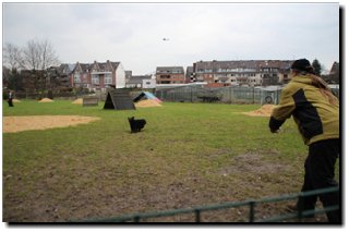 Bild "MOPPEL der Mudi:IMG2012-03-06_174.JPG"