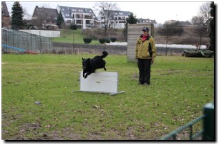 Bild "MOPPEL der Mudi:IMG2012-03-06_188.JPG"