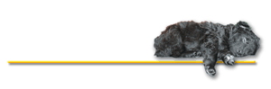 Bild "Rasse MUDI:MWelpeLinie300.gif"