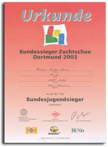 Bild "BuJuSi-2003-Urkunde.jpg"