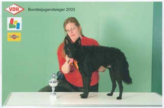Bild "BuJuSi2003-Moppel_pre.jpg"