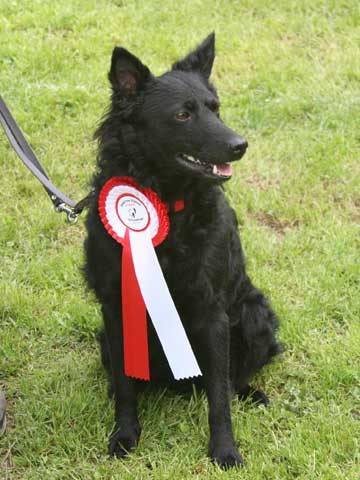 Bild "Moppel-OB-Beg-Schleife.jpg"