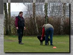 Bild "OB_TR_Goe_100_Low.jpg"